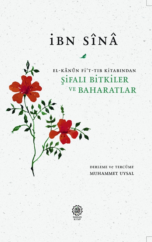 ŞİFALI%20BİTKİLER%20VE%20BAHARATLAR