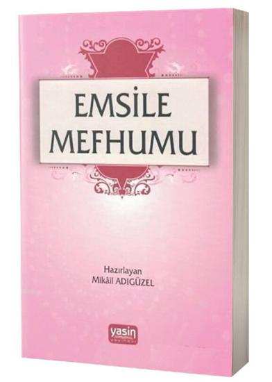 Emsile Mefhumu - Mikail adıgüzel